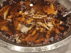 -鑫巴蜀小镇 · 水煮鱼专研店(玉桥店)