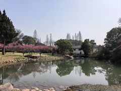 -无锡梅园公园