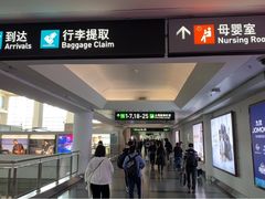 -厦门高崎国际机场-T3航站楼
