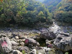 -燕子河大峡谷天坑仙境