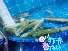 -同道蒸汽海鲜烧烤自助(刘庄夜市店)