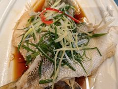 -粤香楼(新光里店)