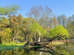 -上海共青森林公园