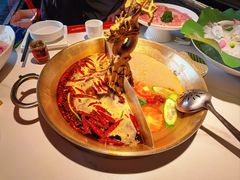 -小龙翻大江文化火锅(宽窄店)