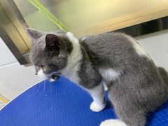 -佳雯宠物医院(金华南路分院)