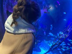 -沈阳海洋探索中心