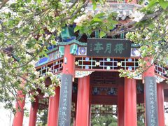 -济南大明湖景区