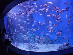 -成都浩海立方海洋公园