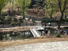 -青龙湖公园