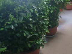 -北京外国语大学东院食堂