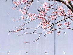 -静安雕塑公园