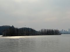 -东湖落雁景区