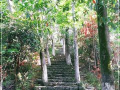 -云碧峰国家森林公园
