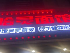 -哈灵现炒本帮面(宁波路店)