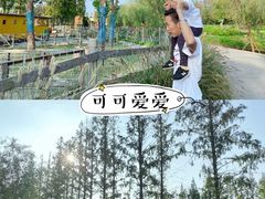 -前小桔亲子创意农场·草莓采摘·露营烧烤
