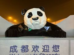 -双流老字号董蹄花(机场南四路店)