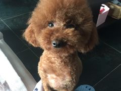 -惠康宠物医院(华能路店)