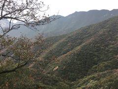 -嵩山少林文化旅游景区