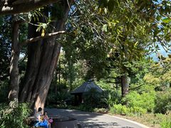 -墨尔本皇家植物园