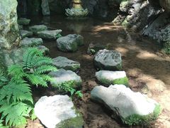 -千岛湖石林