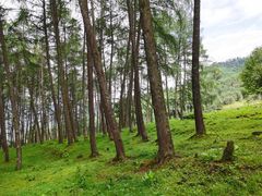 -硗碛藏寨·神木垒景区