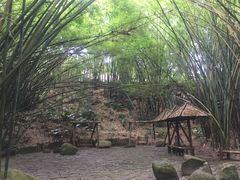 -东部华侨城
