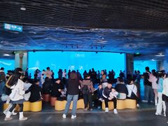 -海合安成都极地海洋公园