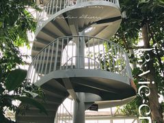 -郑州植物园