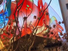 -桂满陇·海市蜃楼·黑金(国金店)