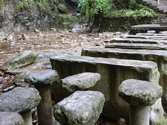 -牛背梁国家森林公园