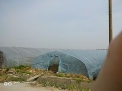 -小鱼草莓采摘园农家乐·小鱼餐厅