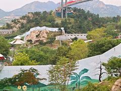 -西霞口神雕山野生动物世界