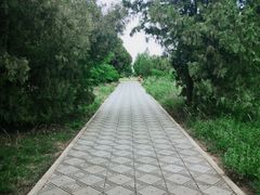 -茂陵博物馆
