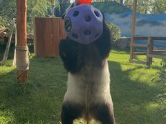 -鄂尔多斯野生动物园