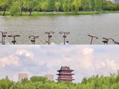 -祥源·阜阳生态乐园