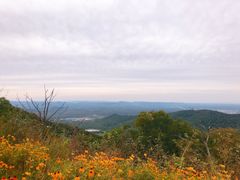 -长白山万达喜来登度假酒店