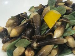 -食神鱼头佛跳墙(百子湾旗舰店)