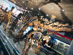 -国家自然博物馆