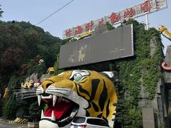 -栾川竹海野生动物园
