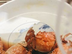 -烟台金海岸希尔顿酒店·開自助餐厅