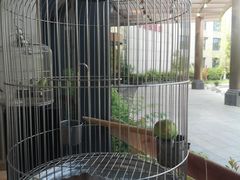 -麦当劳(禄口机场T2航站楼)