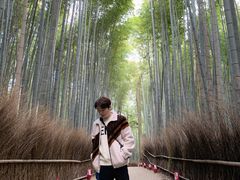 -岚山嵯峨野观光小火车