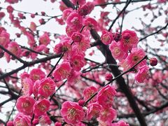 -重庆彩云湖湿地公园