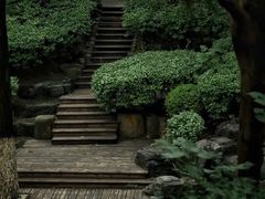 -北宫国家森林公园