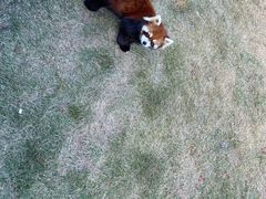 -泉州海丝野生动物世界