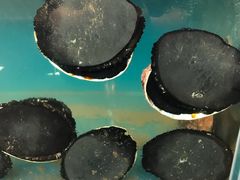 -同乐酒楼(皇后镇店)