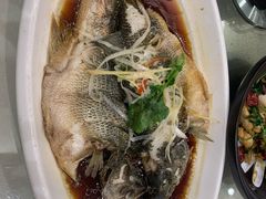 清蒸鲈鱼-双井轩(双井店)