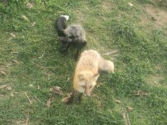 -祥源·阜阳生态乐园