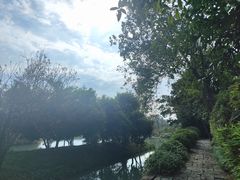 -西溪国家湿地公园