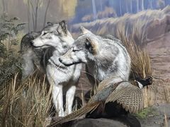 -陕西自然博物馆